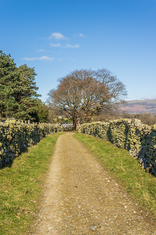 Mosedale Track Mosedale Track